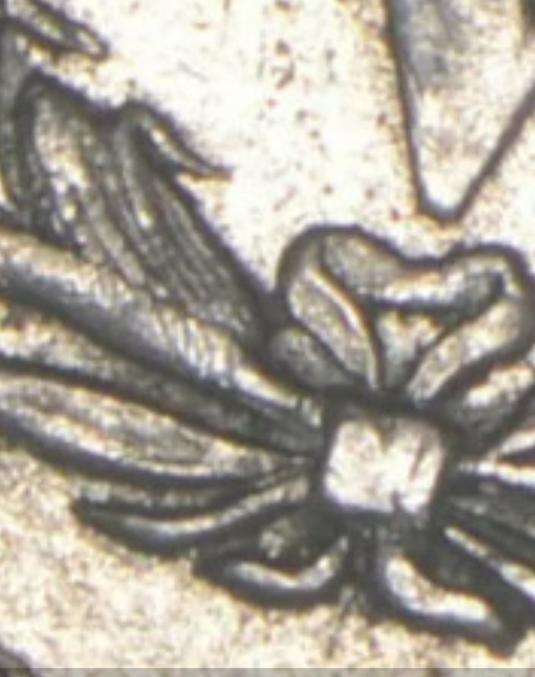 1883-5c-Liberty-Head-Nickel-#-I-Don't-Know-How-Many-Of-These-I-Have